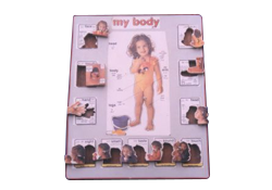 IBMT-OT-375 BODY PARTS PUZZLE KIT